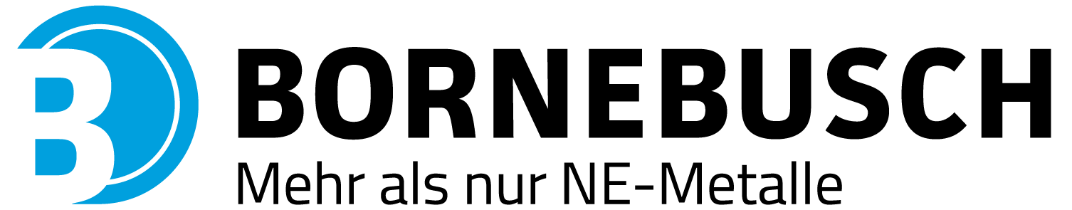 TYPO3 CMS logo
